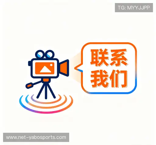 专业咨询